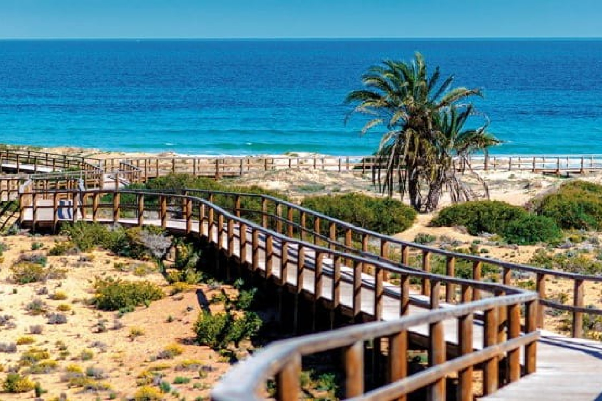 New Build - Apartment - Alenda Golf