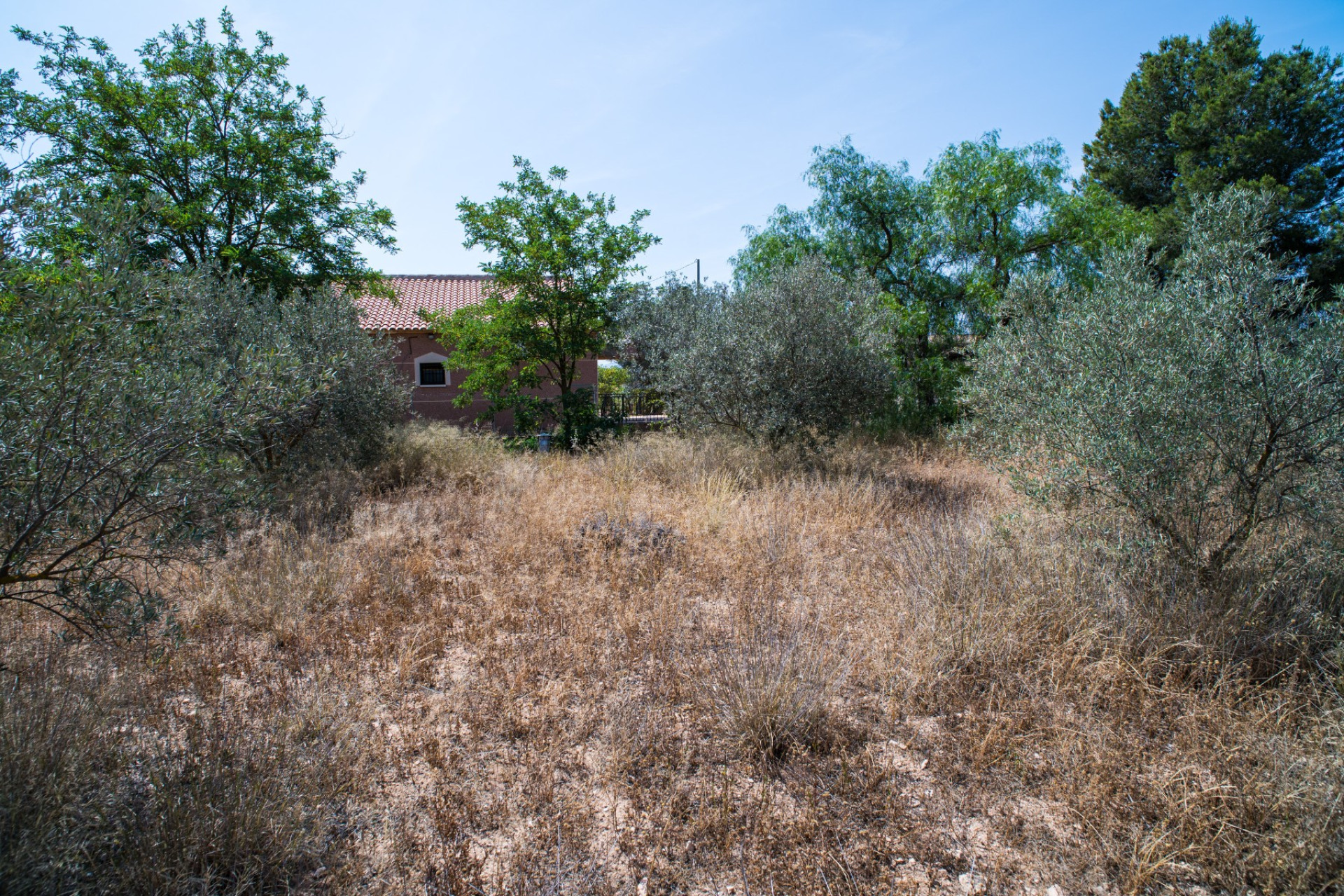 Resale - Villa - Pinoso