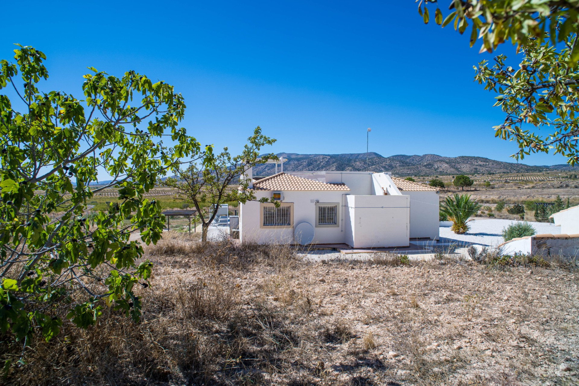 Resale - Villa - Pinoso