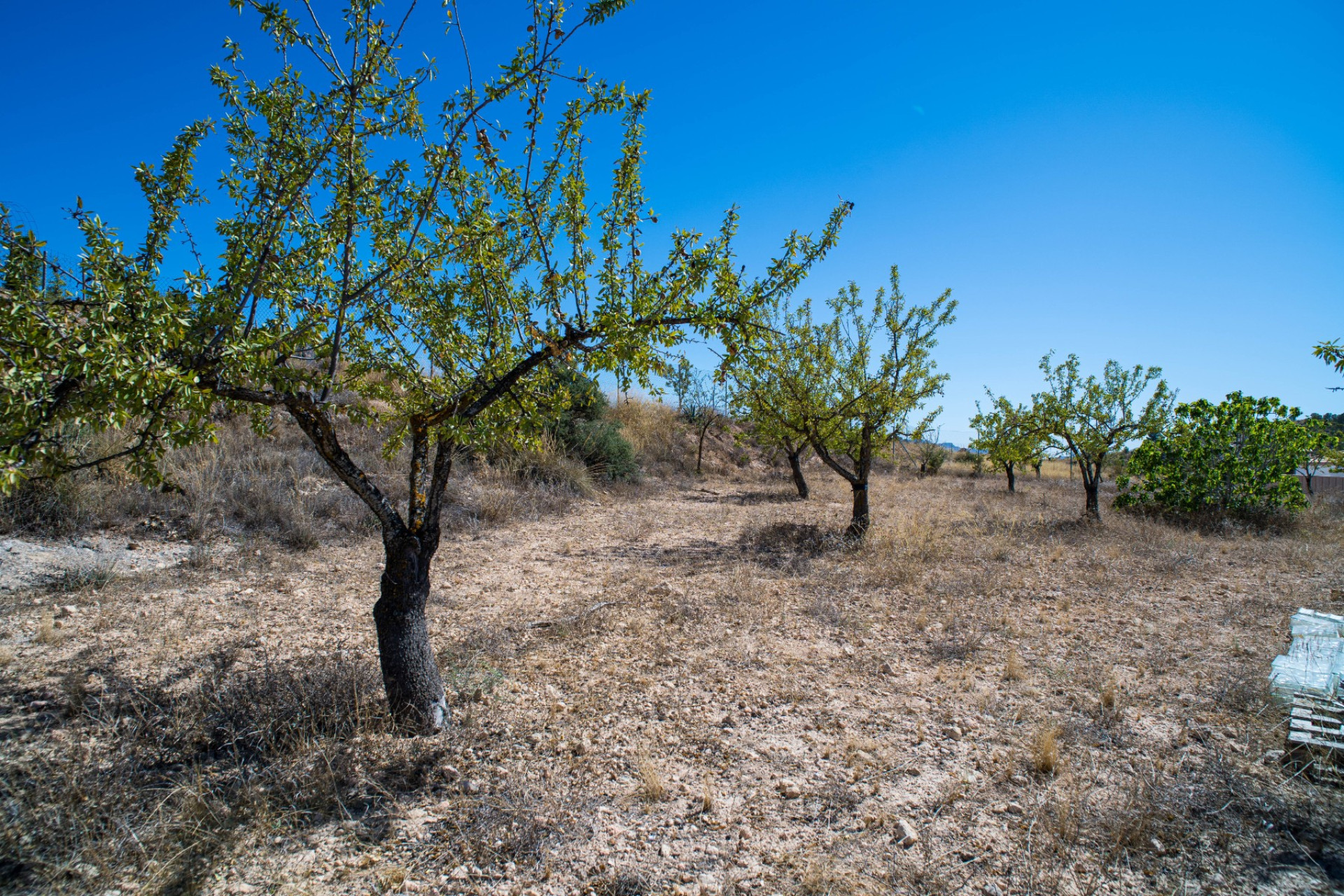 Revente - Villa - Pinoso
