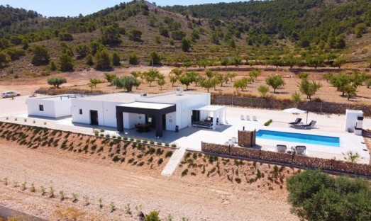 Villa - Nieuwbouw Woningen - Pinoso - APl1001 - Alicante