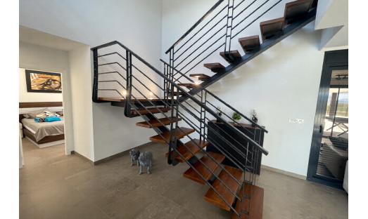 New Build - Villa - Pinoso