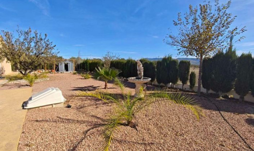 Herverkoop - Villa - Sax