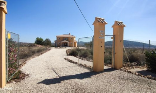 Reventa - Villa - Pinoso