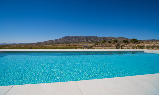 Wiederverkauf - Villa - Pinoso