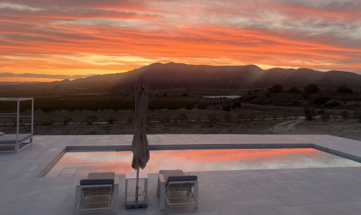 Wiederverkauf - Villa - Pinoso