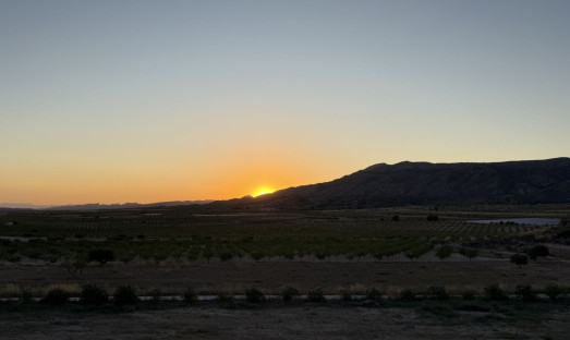 Wiederverkauf - Villa - Pinoso