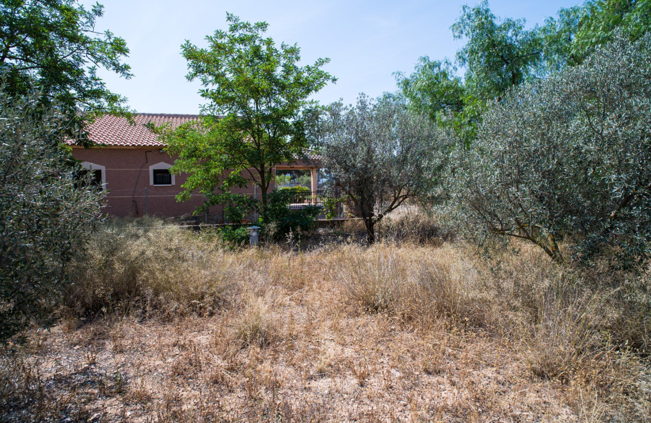 Resale - Villa - Pinoso