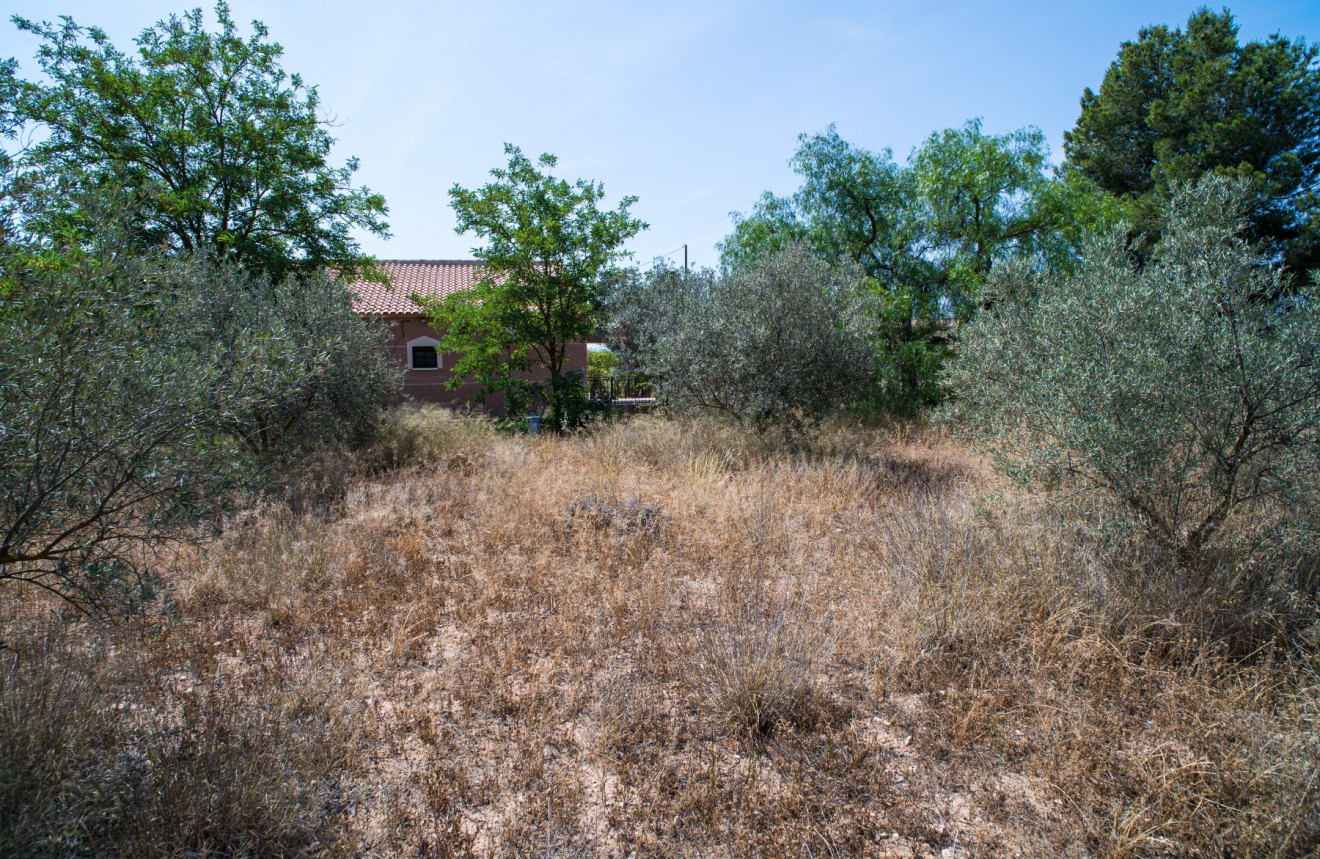 Resale - Villa - Pinoso