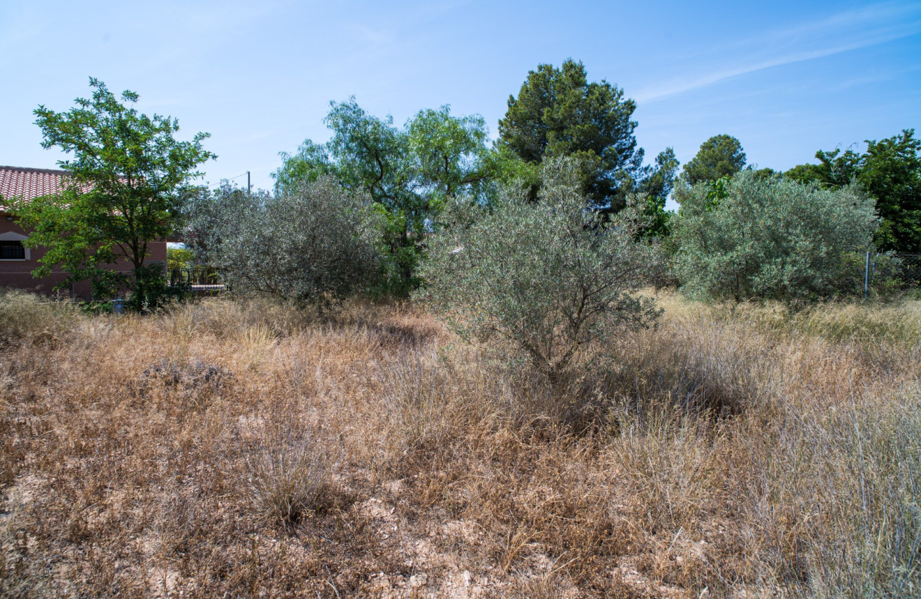 Resale - Villa - Pinoso