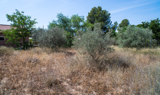 Resale - Villa - Pinoso