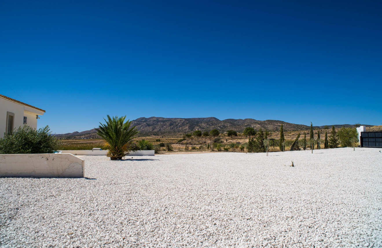 Herverkoop - Villa - Pinoso