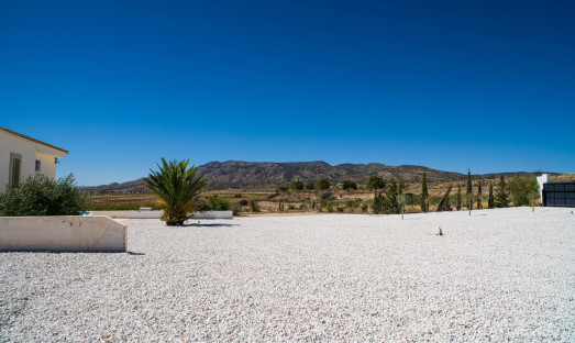 Herverkoop - Villa - Pinoso