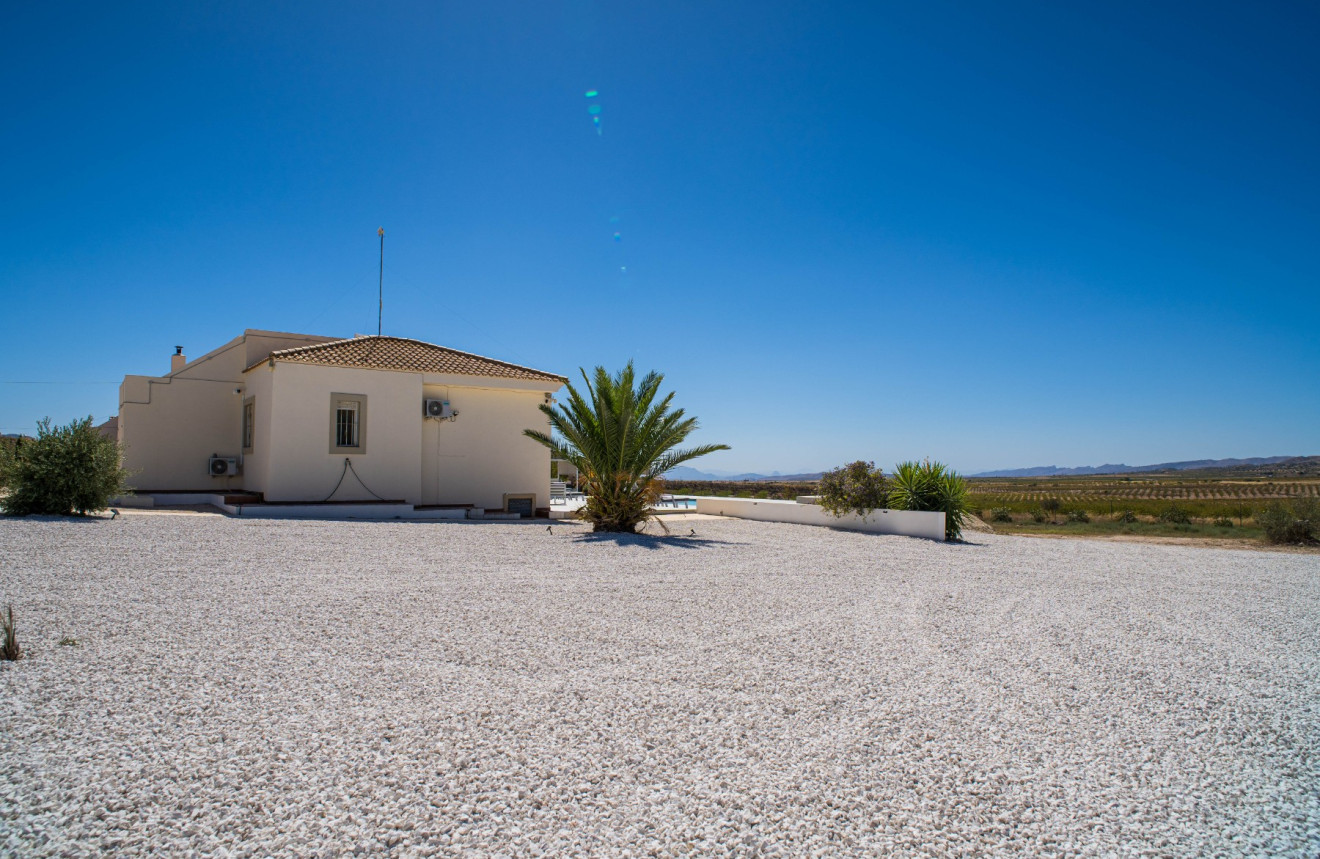 Herverkoop - Villa - Pinoso