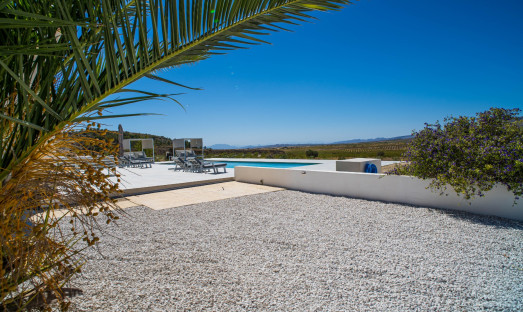 Herverkoop - Villa - Pinoso