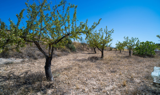 Herverkoop - Villa - Pinoso