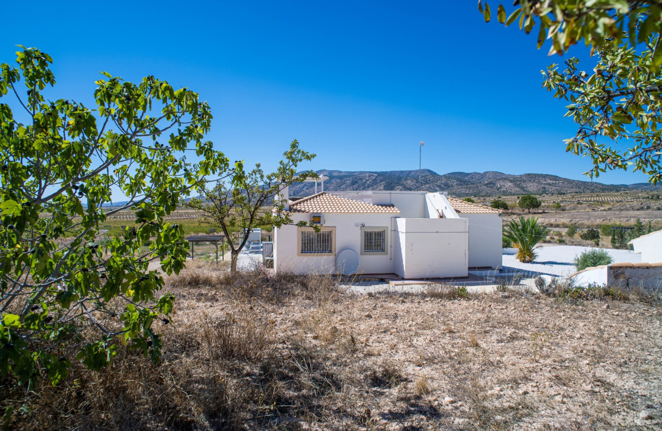 Herverkoop - Villa - Pinoso