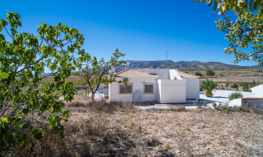 Herverkoop - Villa - Pinoso