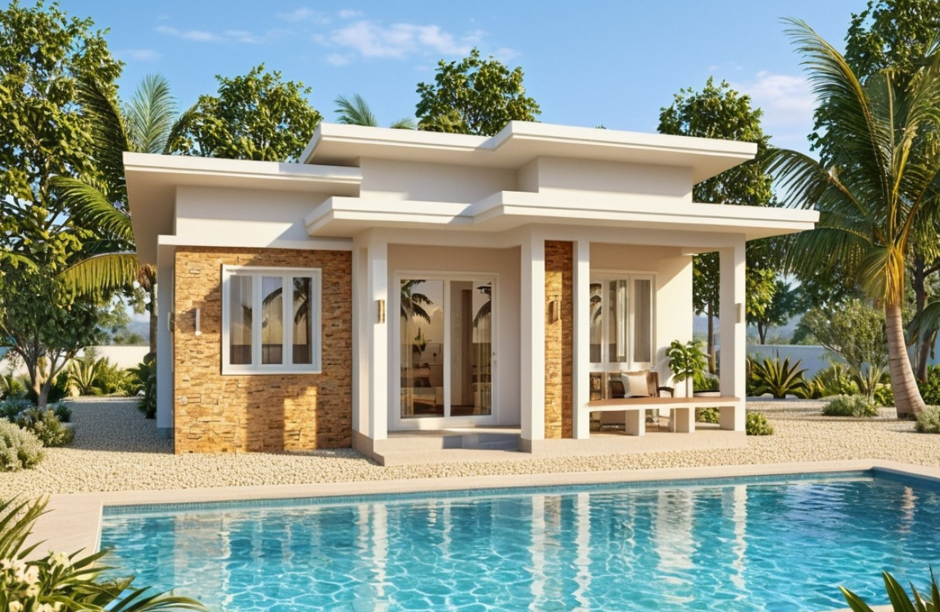 Obra nueva - Villa - Pinoso