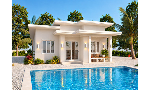 Obra nueva - Villa - Pinoso