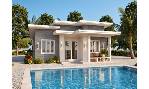 Obra nueva - Villa - Pinoso